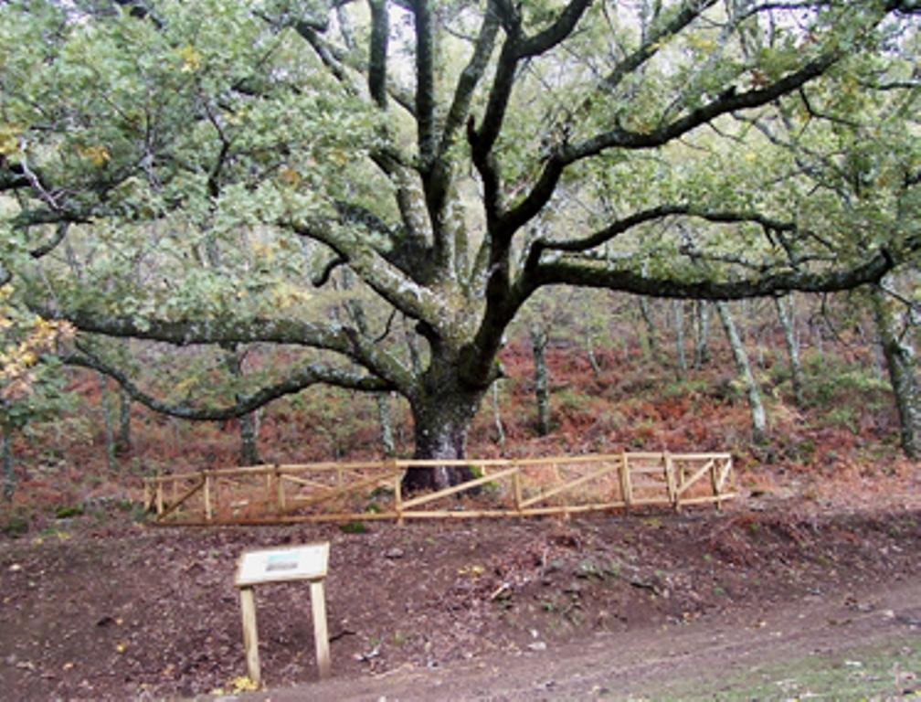 Las Calabazas Barrado Oda fotoğraf